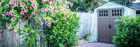 Can I Paint My Vinyl Storage Shed? A Complete Guide for Shed Owners