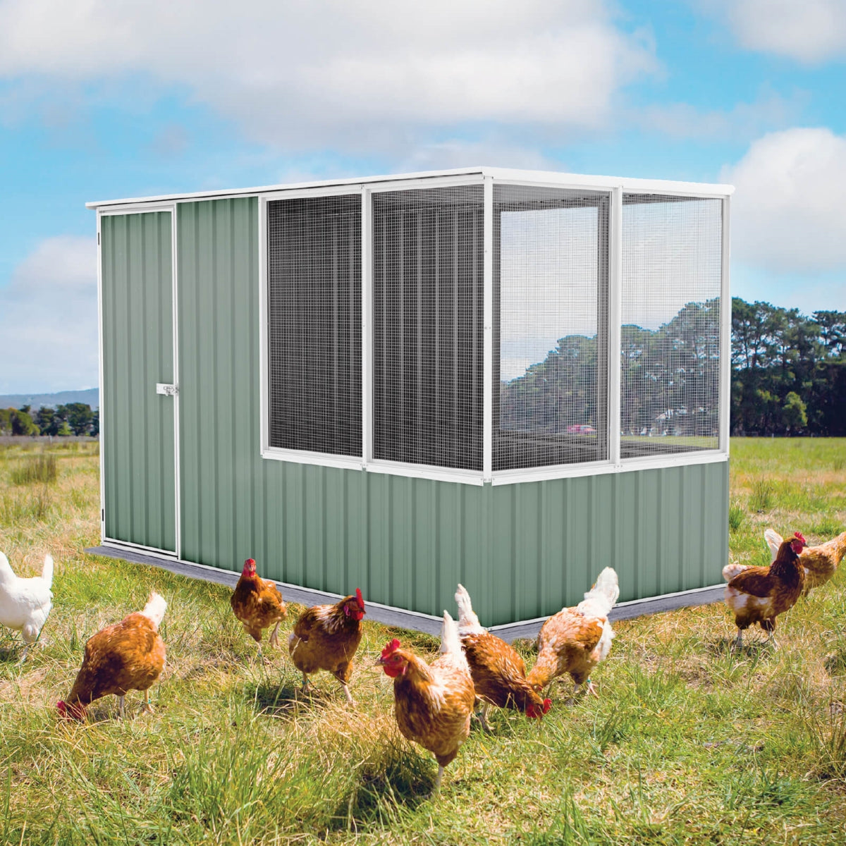 Absco | 5' Wide Chicken Coop - Pale Eucalypt