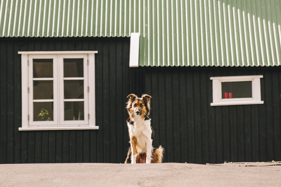 Insulated Building Maintenance: What to Check Every Year