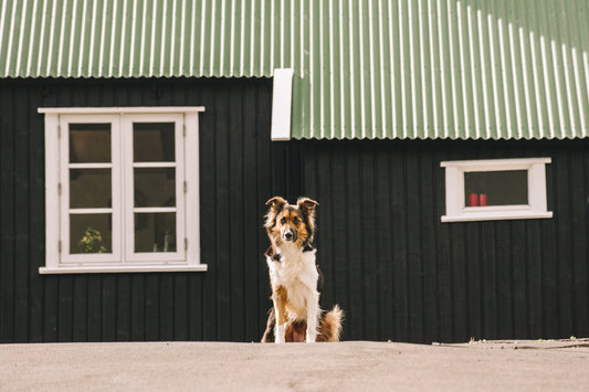 Insulated Building Maintenance: What to Check Every Year