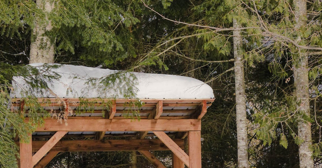 Stacked firewood in a snowy shed surrounded by a wintery forest scene.