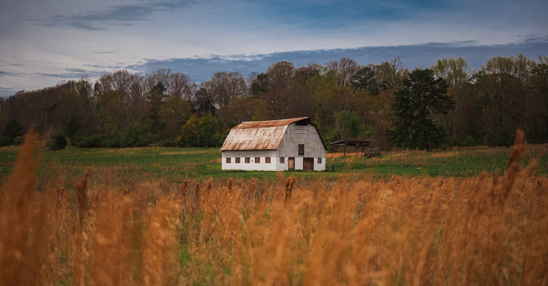 Charming white barn in a peaceful rural countryside setting near Atlanta, Georgia.