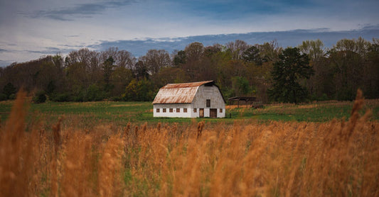 Charming white barn in a peaceful rural countryside setting near Atlanta, Georgia.