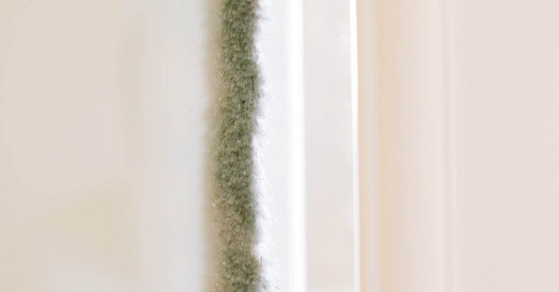 Detailed view of insulation material on a wall in a minimalist interior setting.