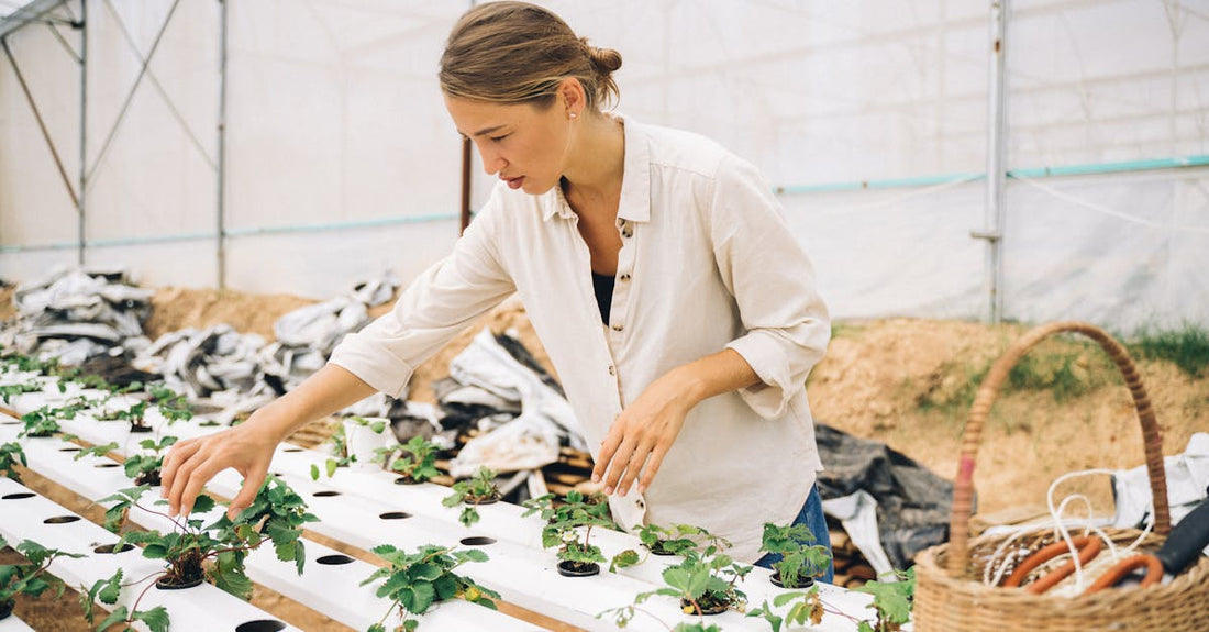 Female gardener tending plants in an indoor hydroponic greenhouse, showcasing modern farming techniques.