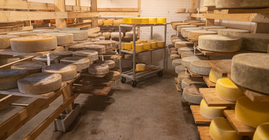 Cheese wheels aging on wooden shelves in a temperature-controlled warehouse.