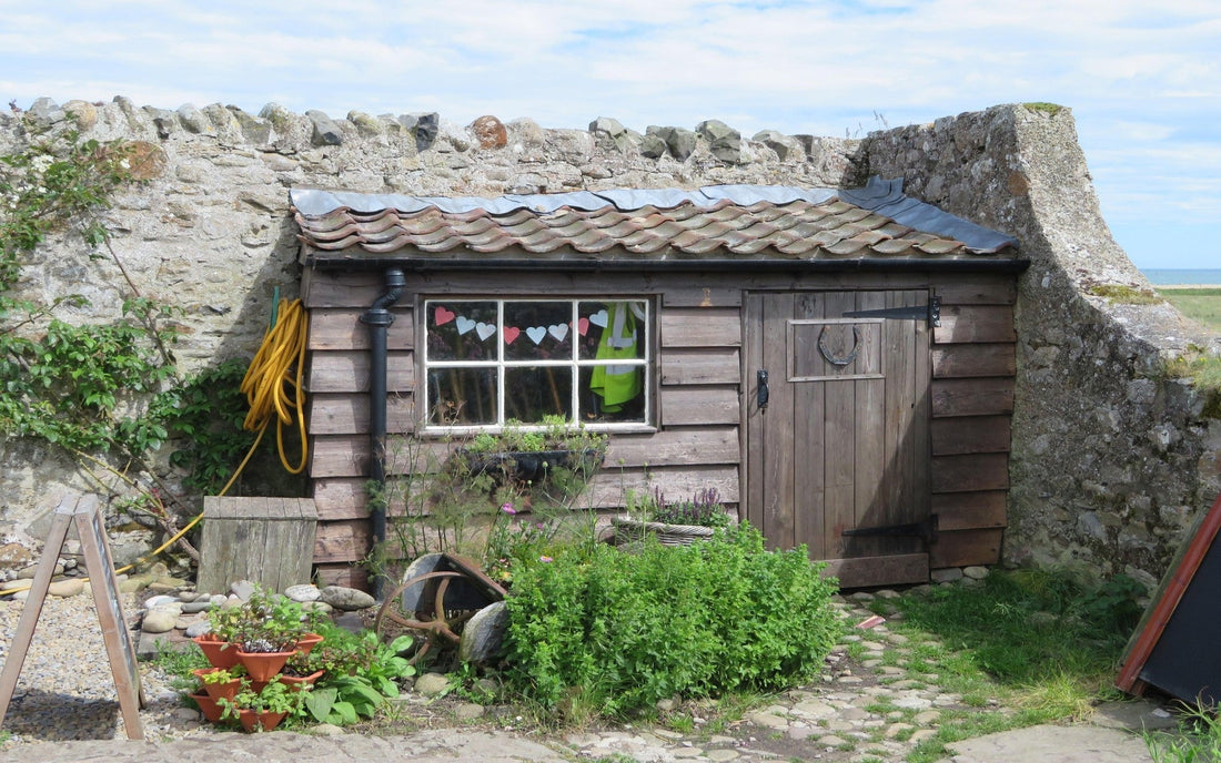 3 Mistakes to Avoid When Buying a Storage Shed