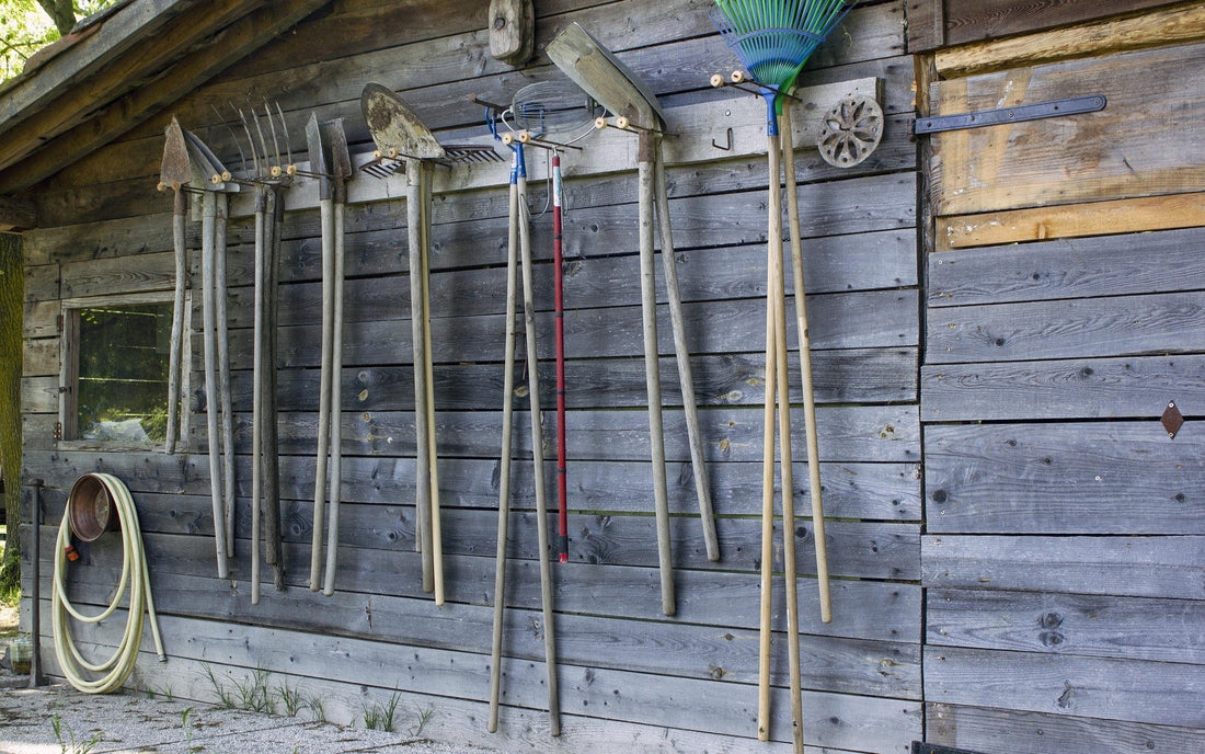 Seasonal Maintenance Tips for Your Storage Shed